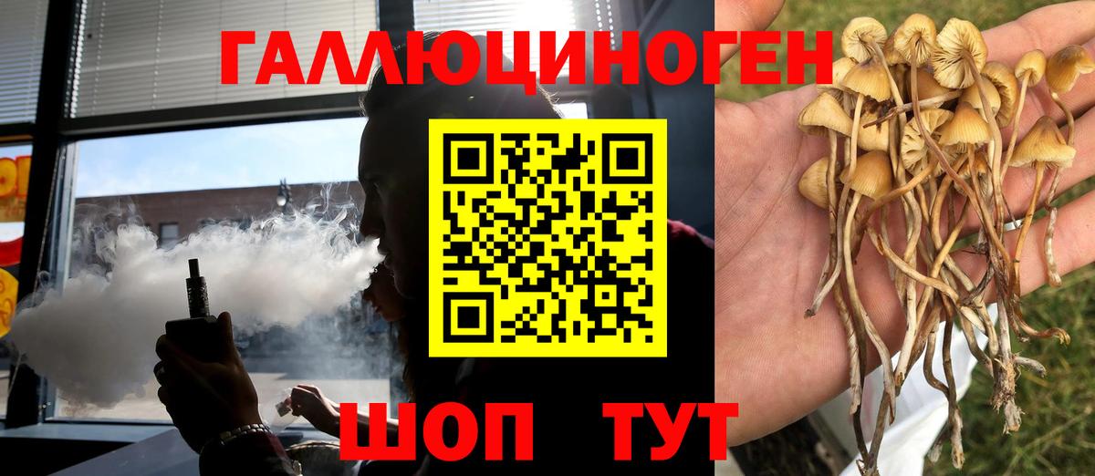 Галлюциногенные грибы прущие грибы  Вход с VPN  где купить   Гусиноозёрск 