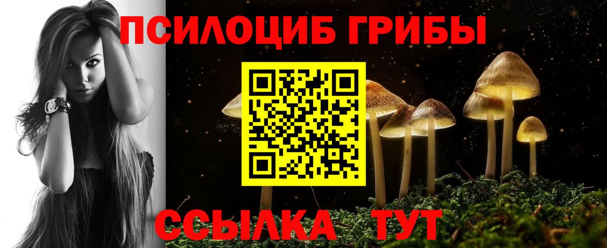 Псилоцибиновые грибы мухоморы Гусиноозёрск